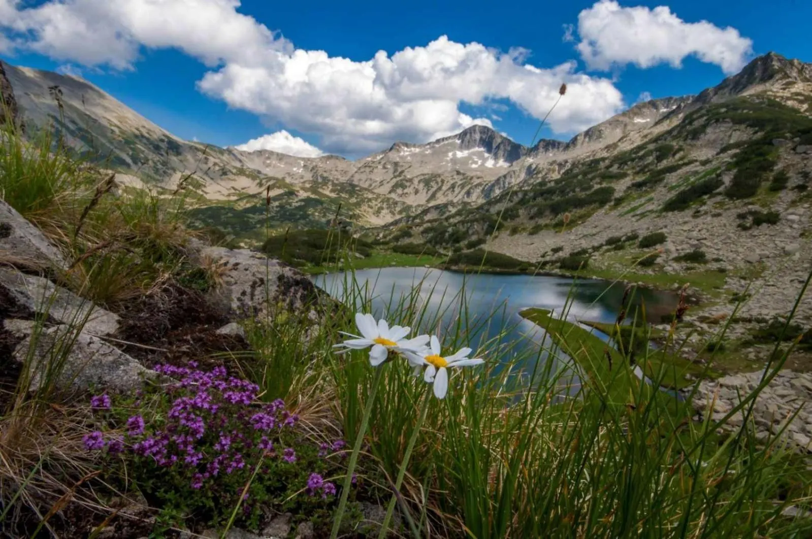 Apartmán Bansko Getaway- Ski & Summer Activities , Sleep 6