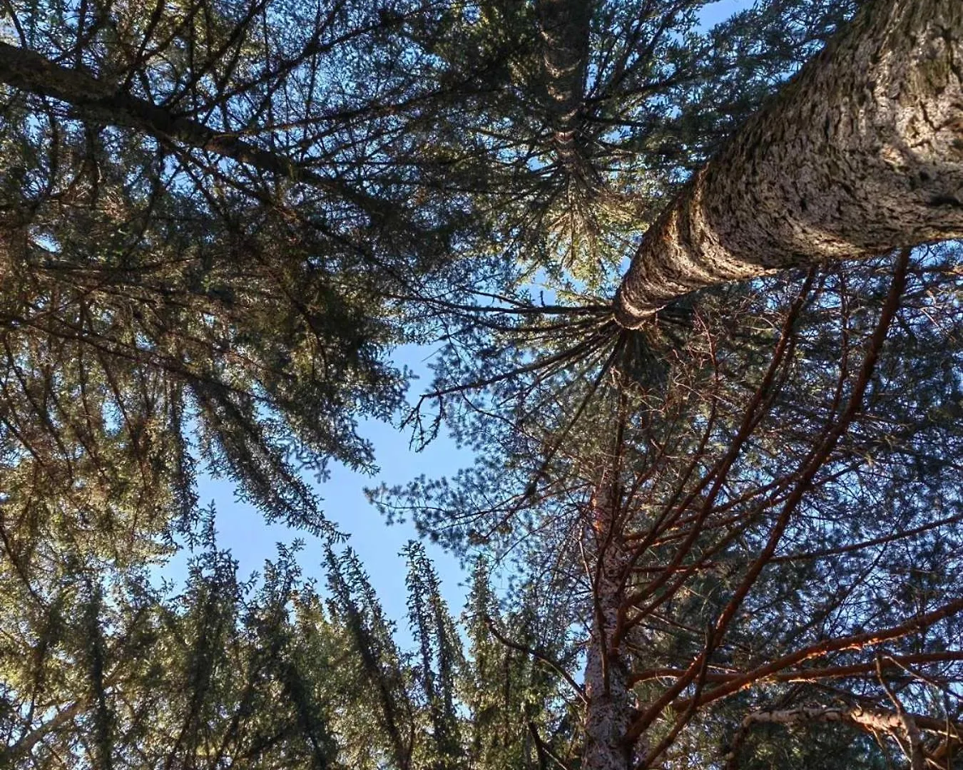 Bansko Getaway- Ski & Summer Activities , Sleep 6 Apartmán